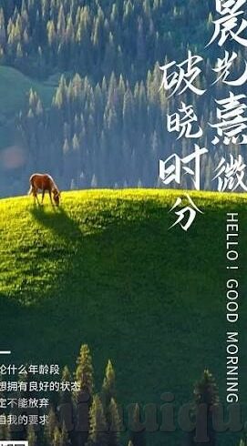 91麻豆国产亚洲永久-探寻91麻豆国产亚洲影视的永续魅力和文化价值