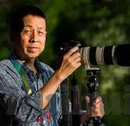 成人免费视频网站-成人内容平台，网络世界的双刃剑