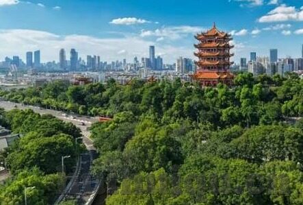 麻豆传媒直播app怎么下载-轻触指尖，探索麻豆传媒直播的下载新体验
