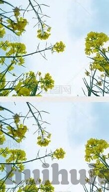 麻豆羞羞传媒在线观看-麻豆羞羞传媒，数字化时代的娱乐新视界