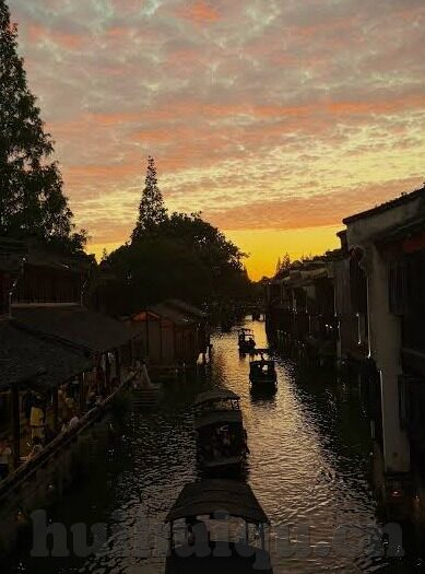 人妻插入-家庭与爱的深度交织，人妻角色在婚姻中的微妙变化