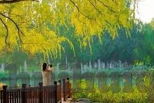 糖心app 百度网盘-遇见糖心APP——探索新世界与百度网盘的巧妙联动
